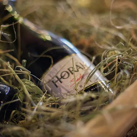 Horska Koliba Hotel 3*