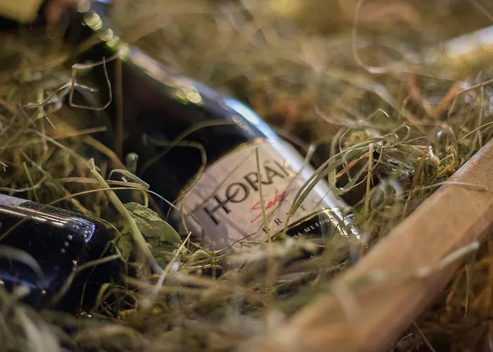 Horska Koliba Szálloda 3*